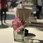 Otel Colosseo Tiran