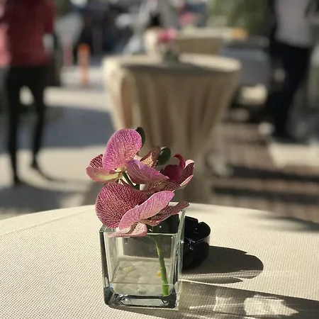 Ξενοδοχείο Colosseo Τίρανα