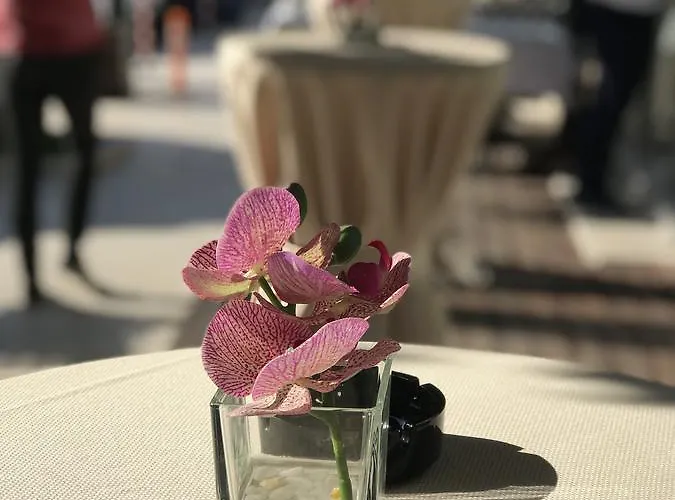 호텔 Colosseo 티라나